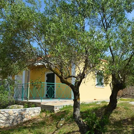 Zacharoula Studios ラッシ